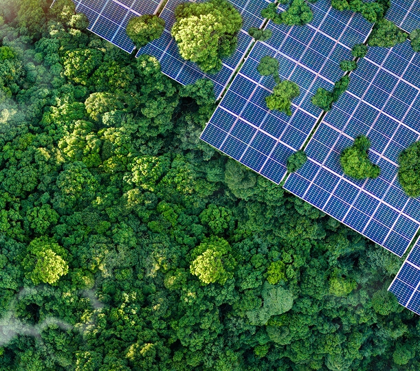 Três mulheres sorrindo no escritório